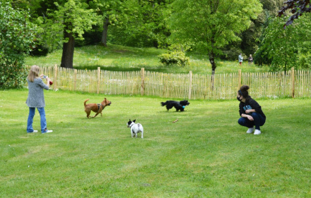 Image d'illustration pour : Parc canin