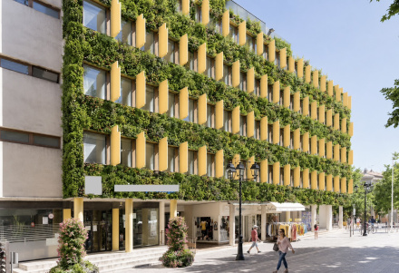 Image d'illustration pour : Végétaliser le centre Joseph Collomb